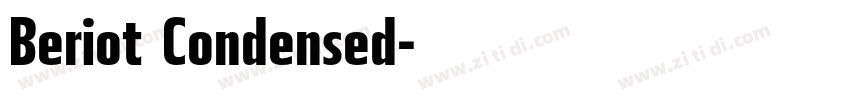 Beriot Condensed字体转换